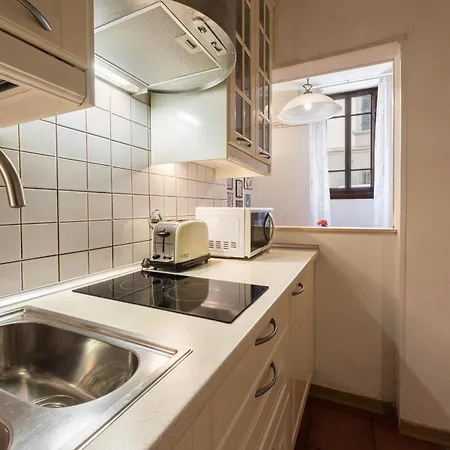 Apartmán Grazioso In Oltrarno A Florencie
